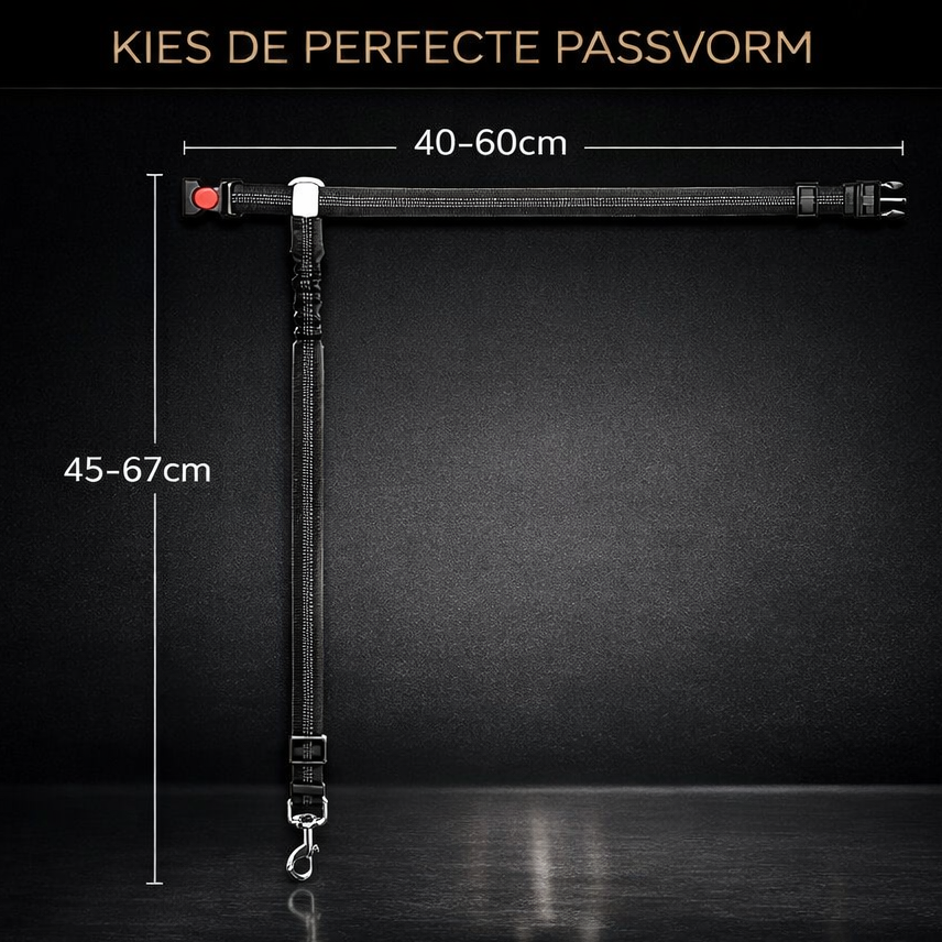 2-in-1 veiligheidsgordel