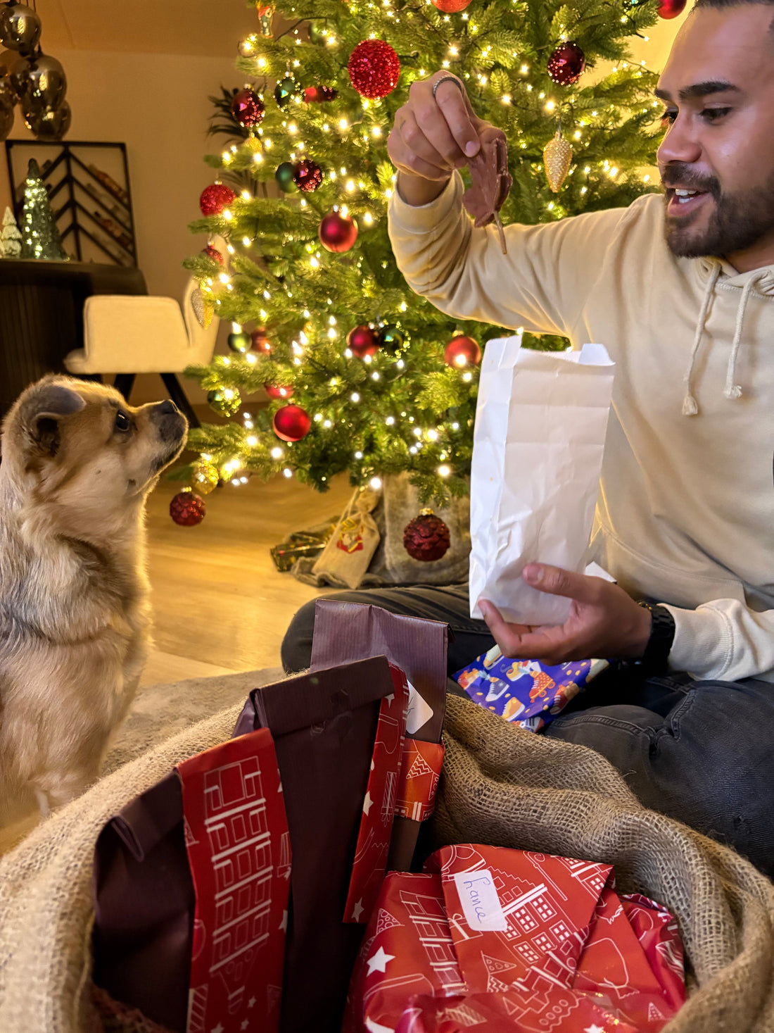 Iedere hondenliefhebber wil maar één ding: een blije, energieke en gezonde hond die zo lang mogelijk bij ons blijft.