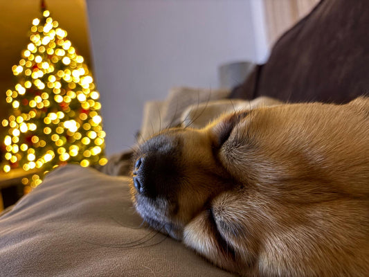 Tips voor een fijne én veilige kerst!