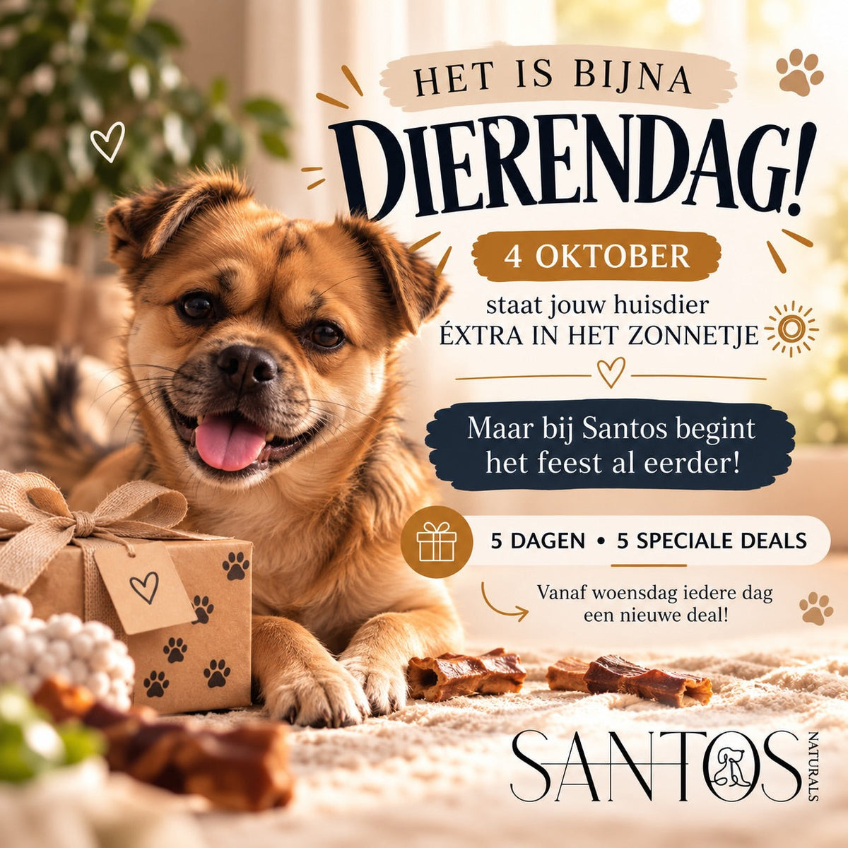 Dierendag 2026!