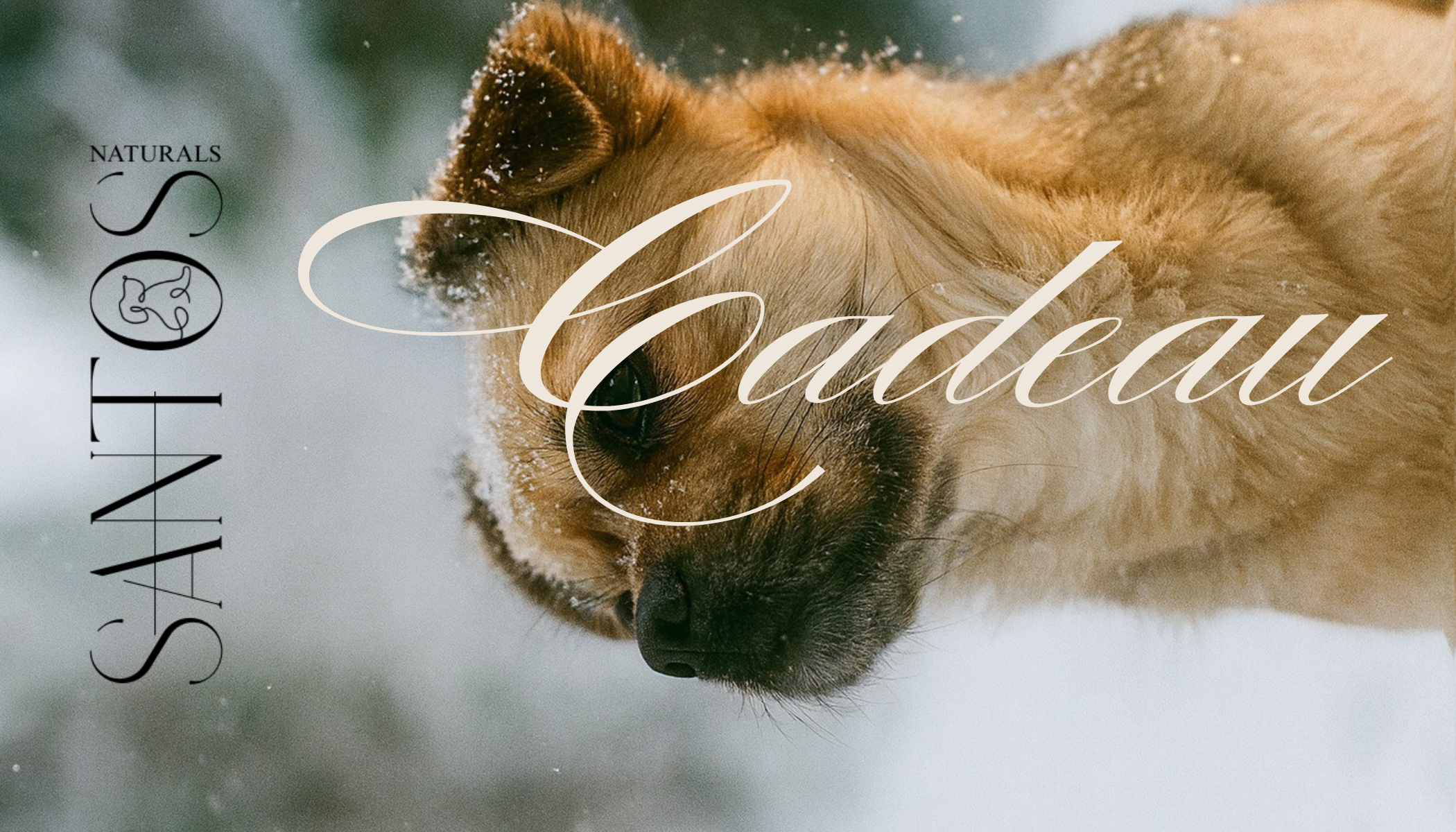 Cadeaubonnen