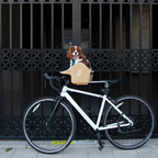 B&B Canine Copilot Crème Beige - Fietszitje voor huisdieren