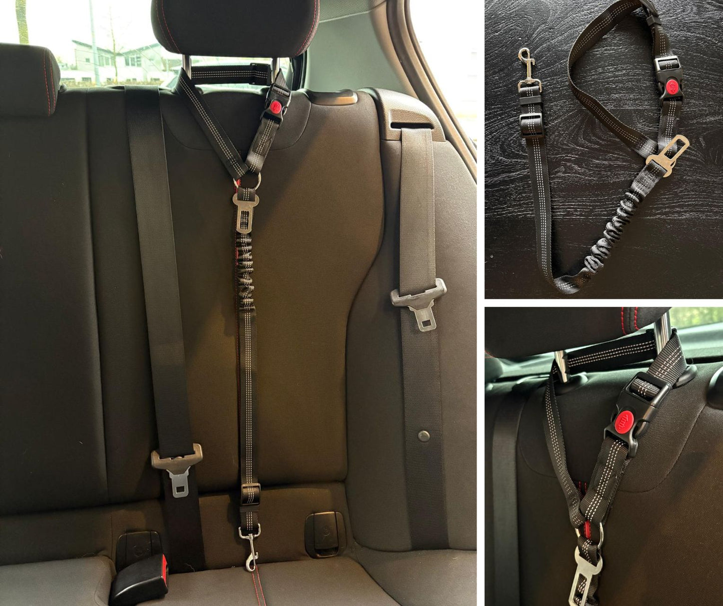 2-in-1 veiligheidsgordel