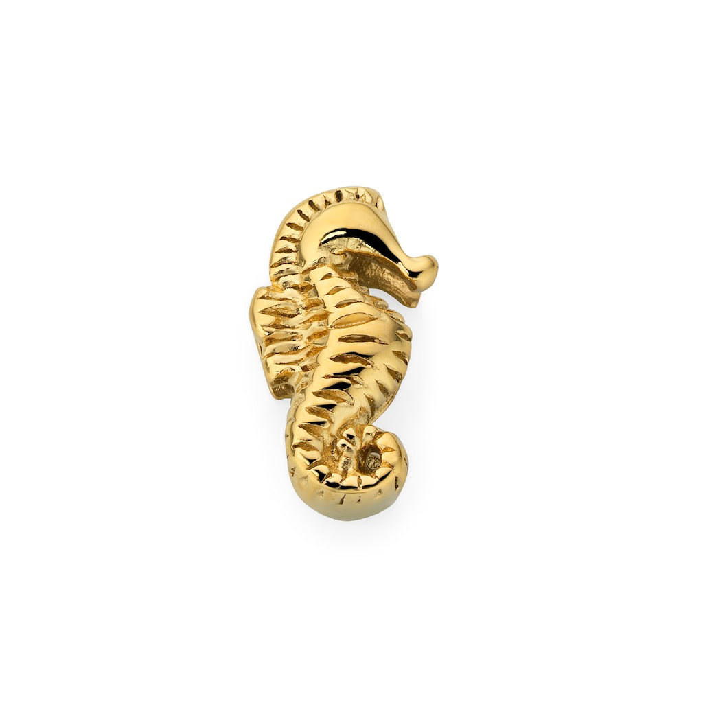 Caballito de mar - Oro