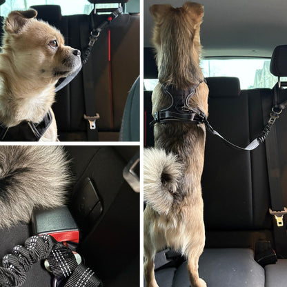 2-in-1 veiligheidsgordel