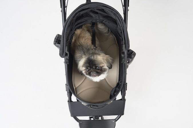 AirBuggy DOME 3 - MAT GRANDE – AZUL MEDIANOCHE