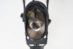 AirBuggy DOME 3 MAT GRANDE – GRIS OSCURO