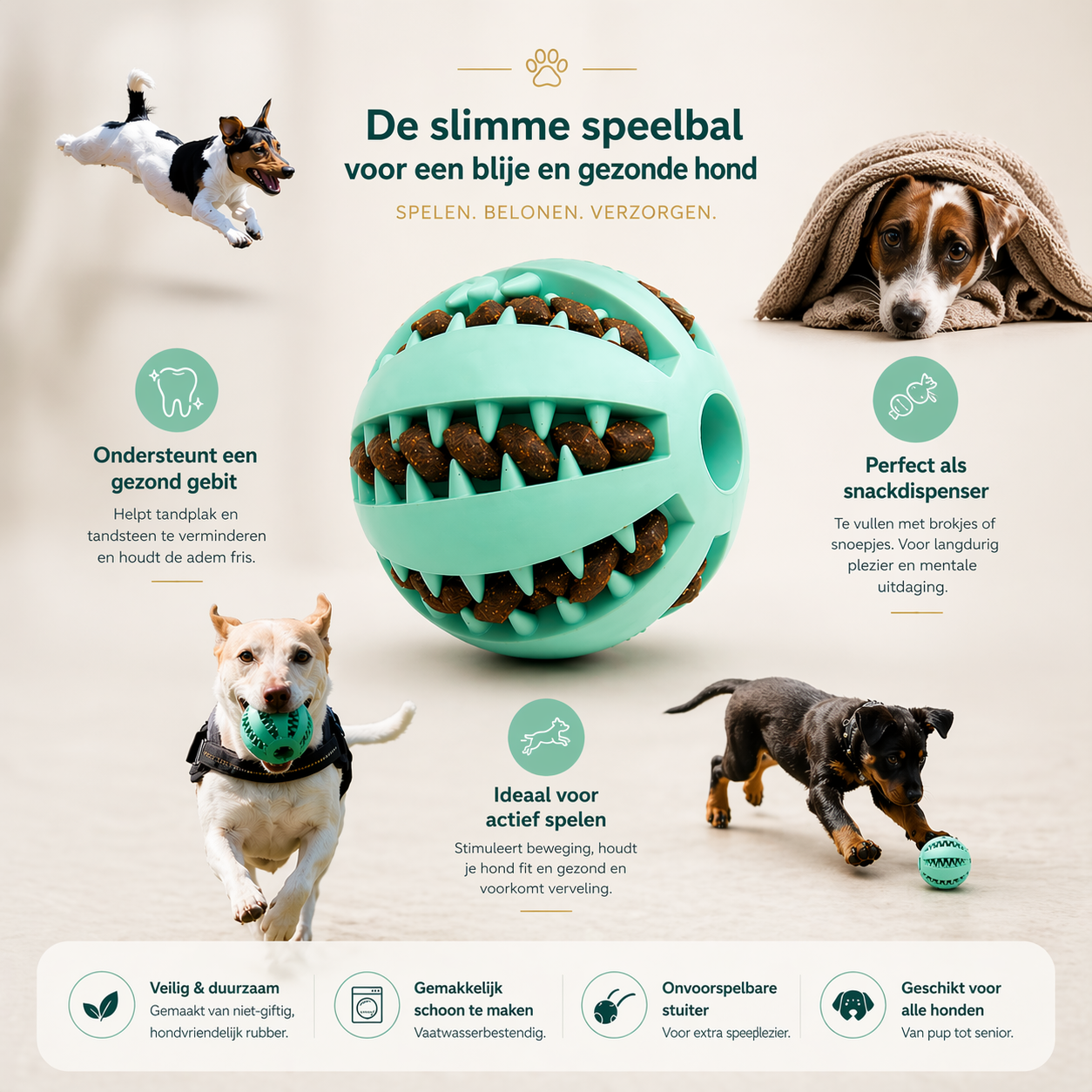 Santos’ Slimme Speelbal