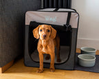 Opvouwbare Bench Hond - Reisbench: M - Henry Wag