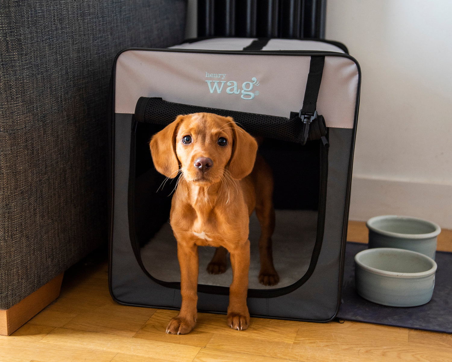 Opvouwbare Bench Hond - Reisbench: M - Henry Wag