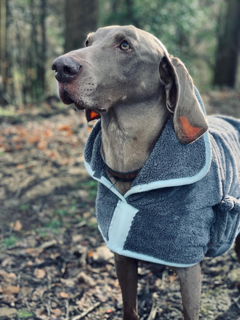 Henry Wag microvezel hondenbadjas - droogjas voor honden - Maat XL