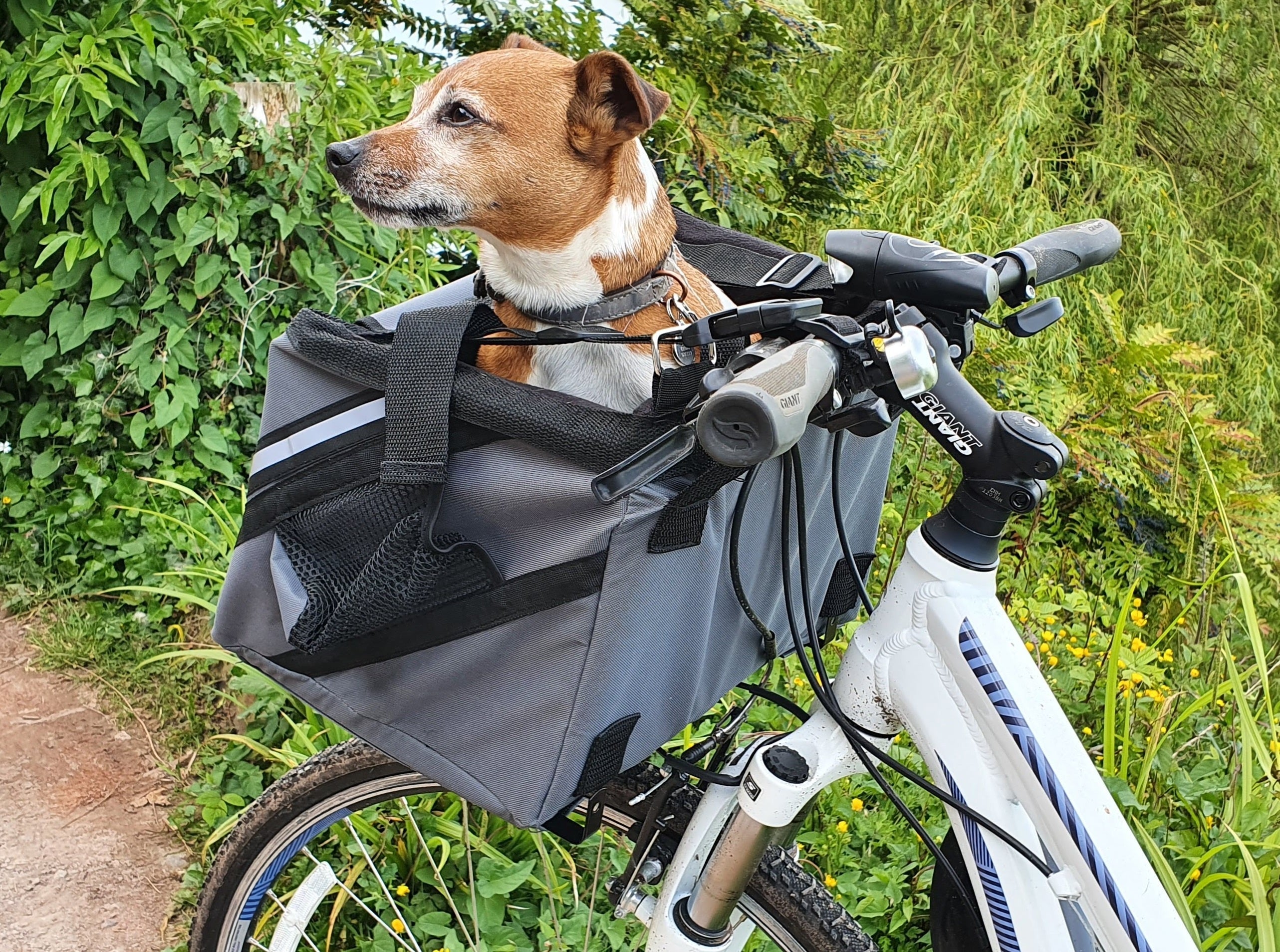 Bicycle Bag/Basket Henry Wag