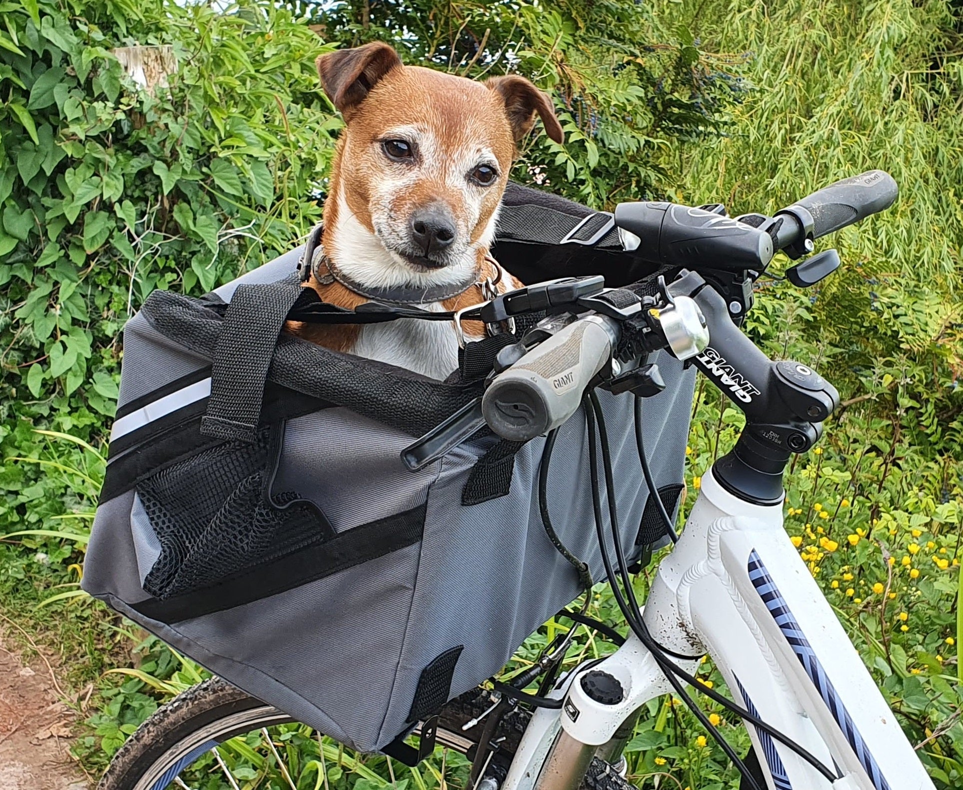 Bicycle Bag/Basket Henry Wag