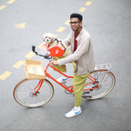 Brook & Breeze Canine Copilot - asiento de bicicleta para perro o gato