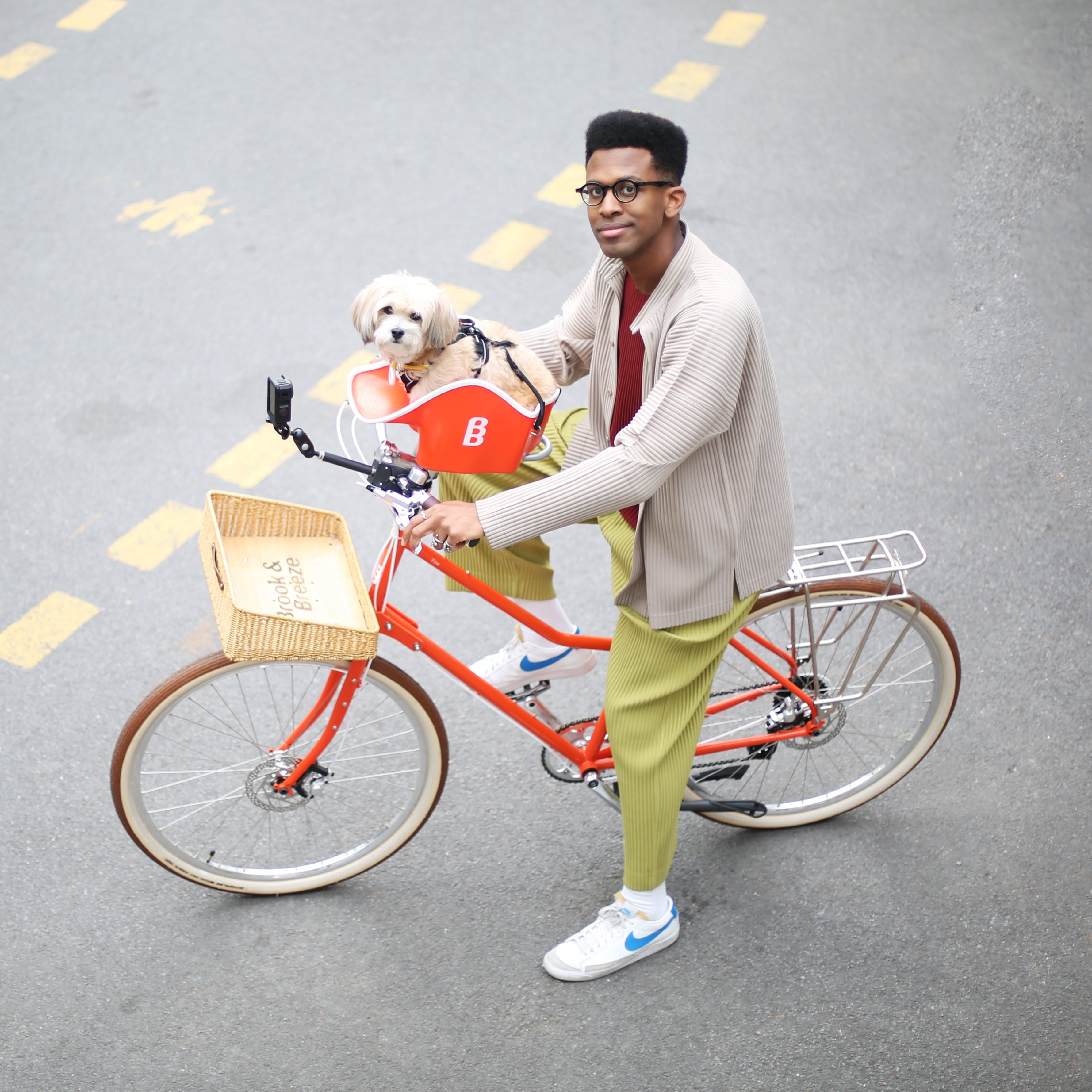 Brook & Breeze Canine Copilot - asiento de bicicleta para perro o gato