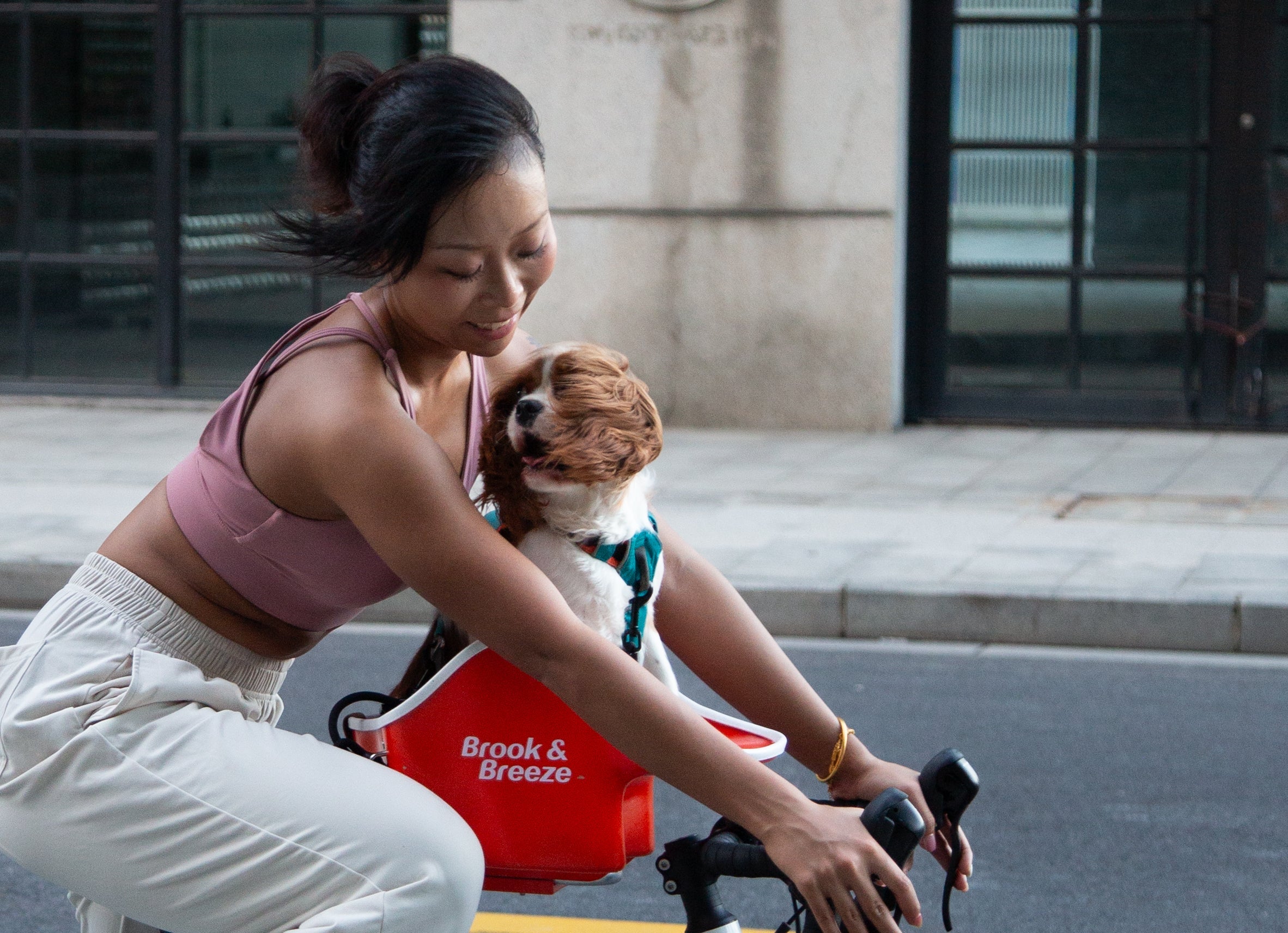 Brook & Breeze Canine Copilot - asiento de bicicleta para perro o gato