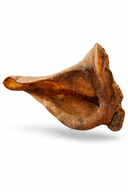 NIEUW: Mega Varkensoren XXL