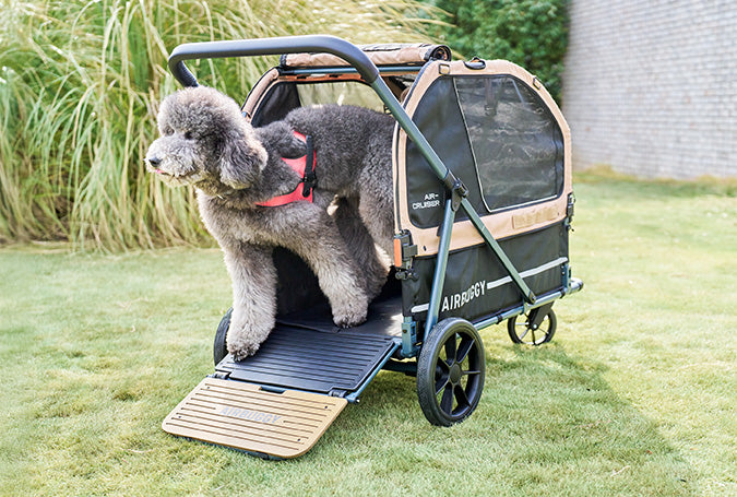 AirBuggy AIR-CRUISER Hondenbuggy para XXL Razas