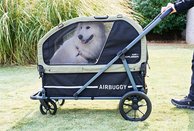 AirBuggy AIR-CRUISER Hondenbuggy para XXL Razas