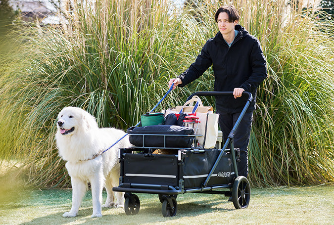 AirBuggy AIR-CRUISER – La Máxima Premium Hondenbuggy para Grandes Razas