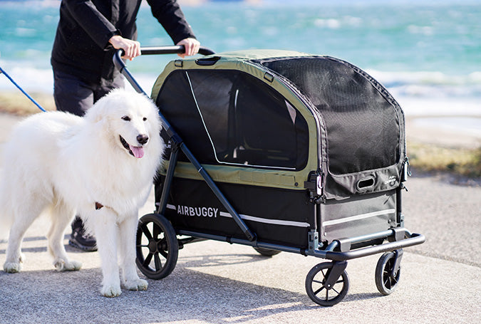 AirBuggy AIR-CRUISER – La Máxima Premium Hondenbuggy para Grandes Razas