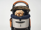 AirBuggy DOME 3 Regular – Cacao