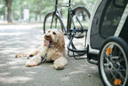 AirBuggy Cube Nest – carrito para perros o gatos