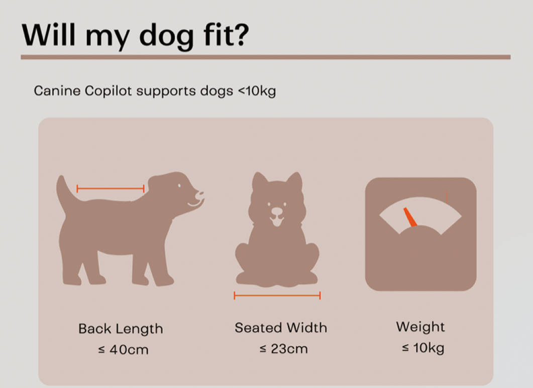 B&B Canine Copilot Crème Beige - Fietszitje voor huisdieren