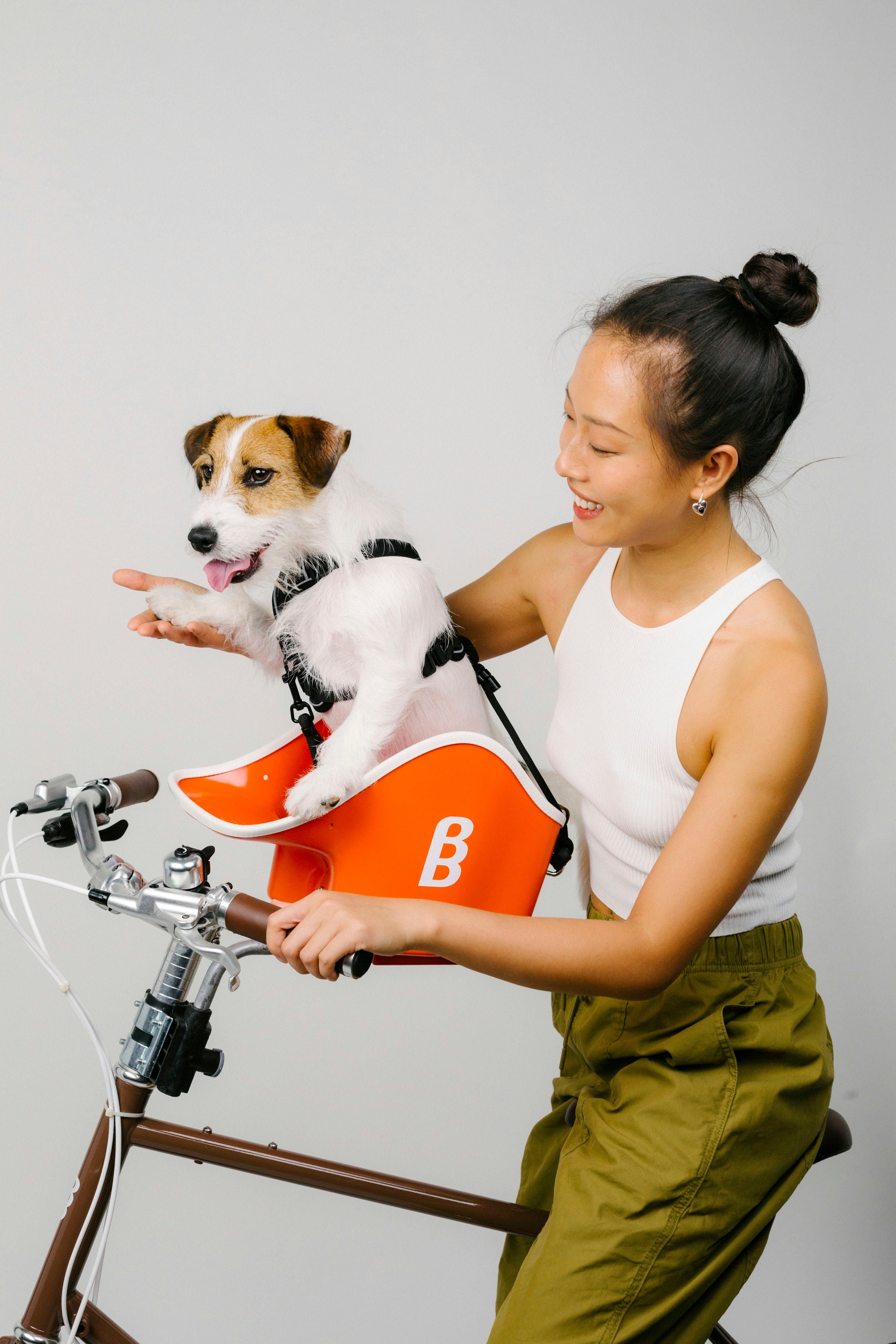 Brook & Breeze Canine Copilot - asiento de bicicleta para perro o gato