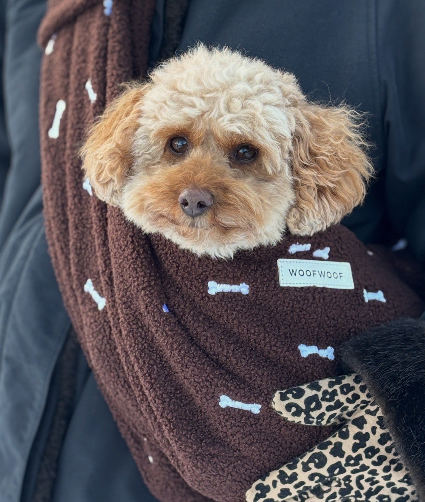 Honden Draagzak Bruin Botjes