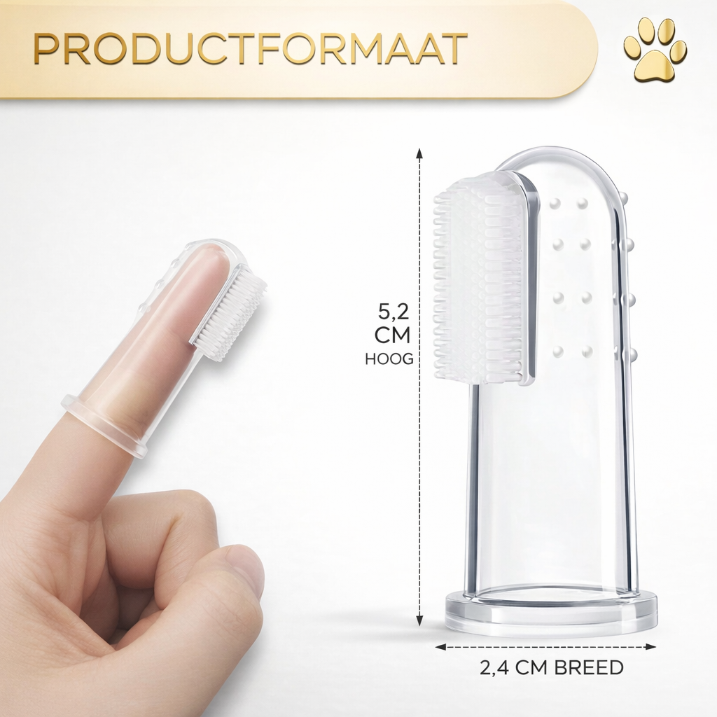 Tandenreinigersborstel