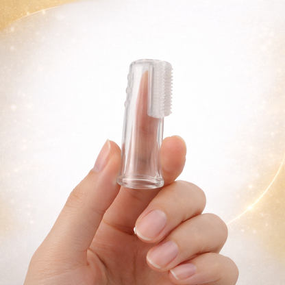 Tandenreinigersborstel