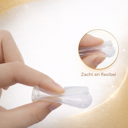 Tandenreinigersborstel