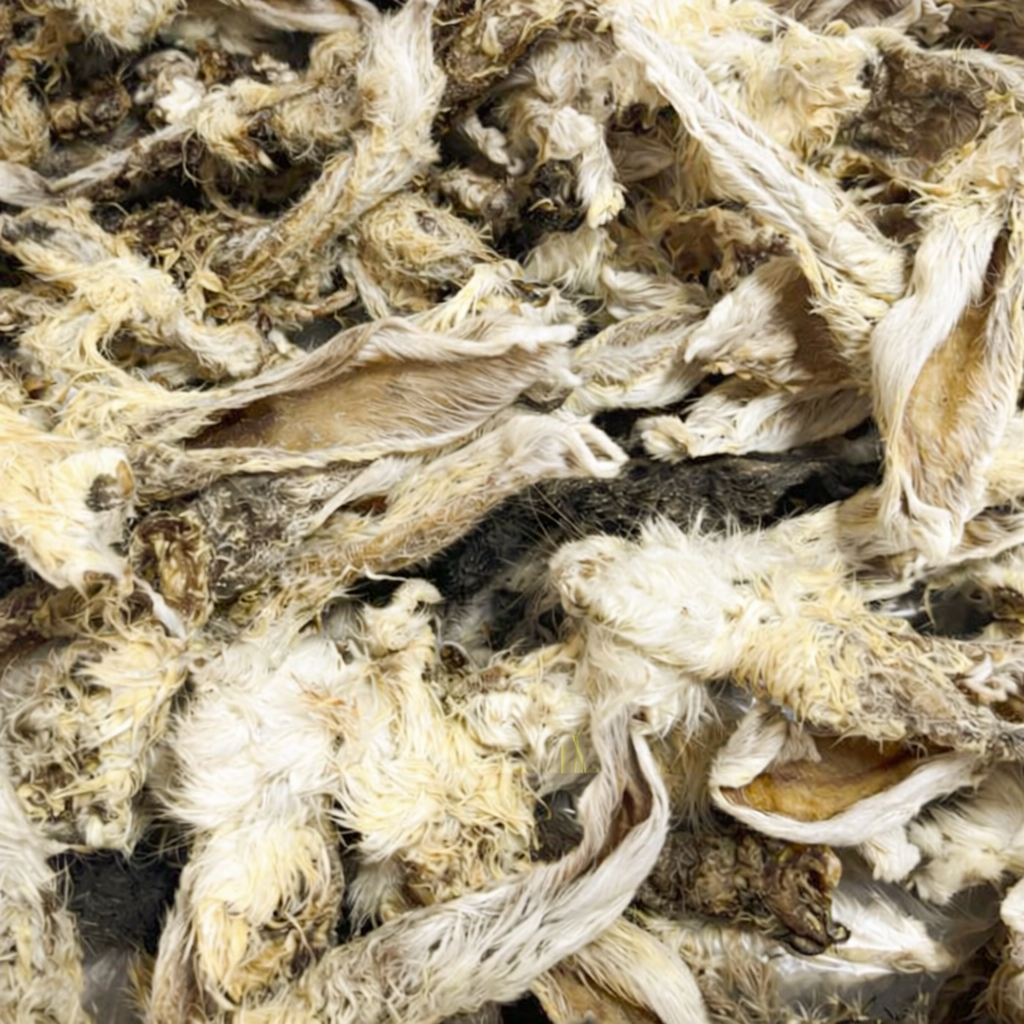 Orelhas de Coelho+: com pelo