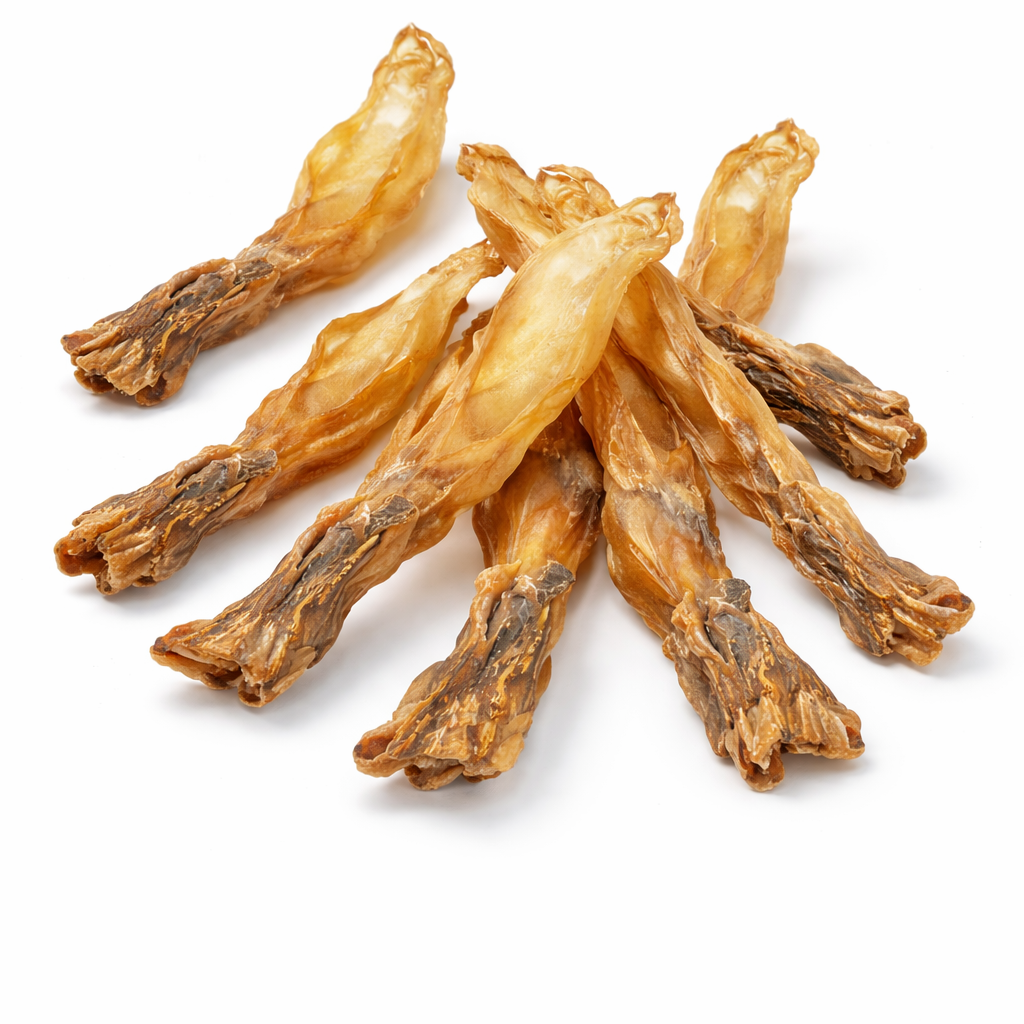 Orelhas de coelho + sem pelo