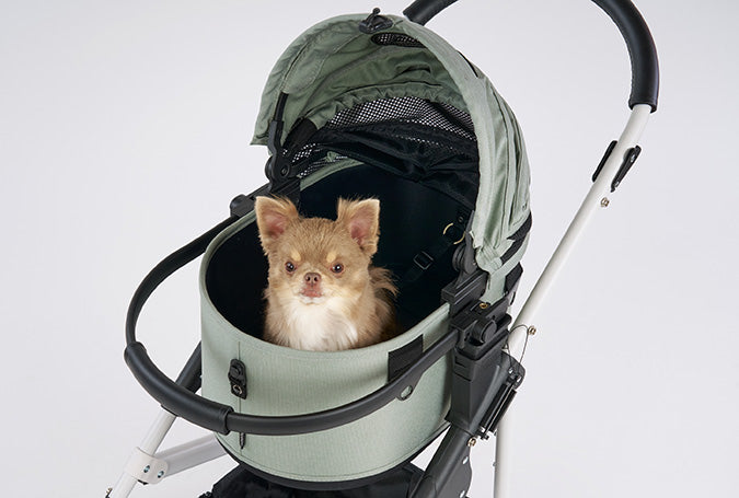 AirBuggy DOME 3 - SMALL COT - GRASS GREEN