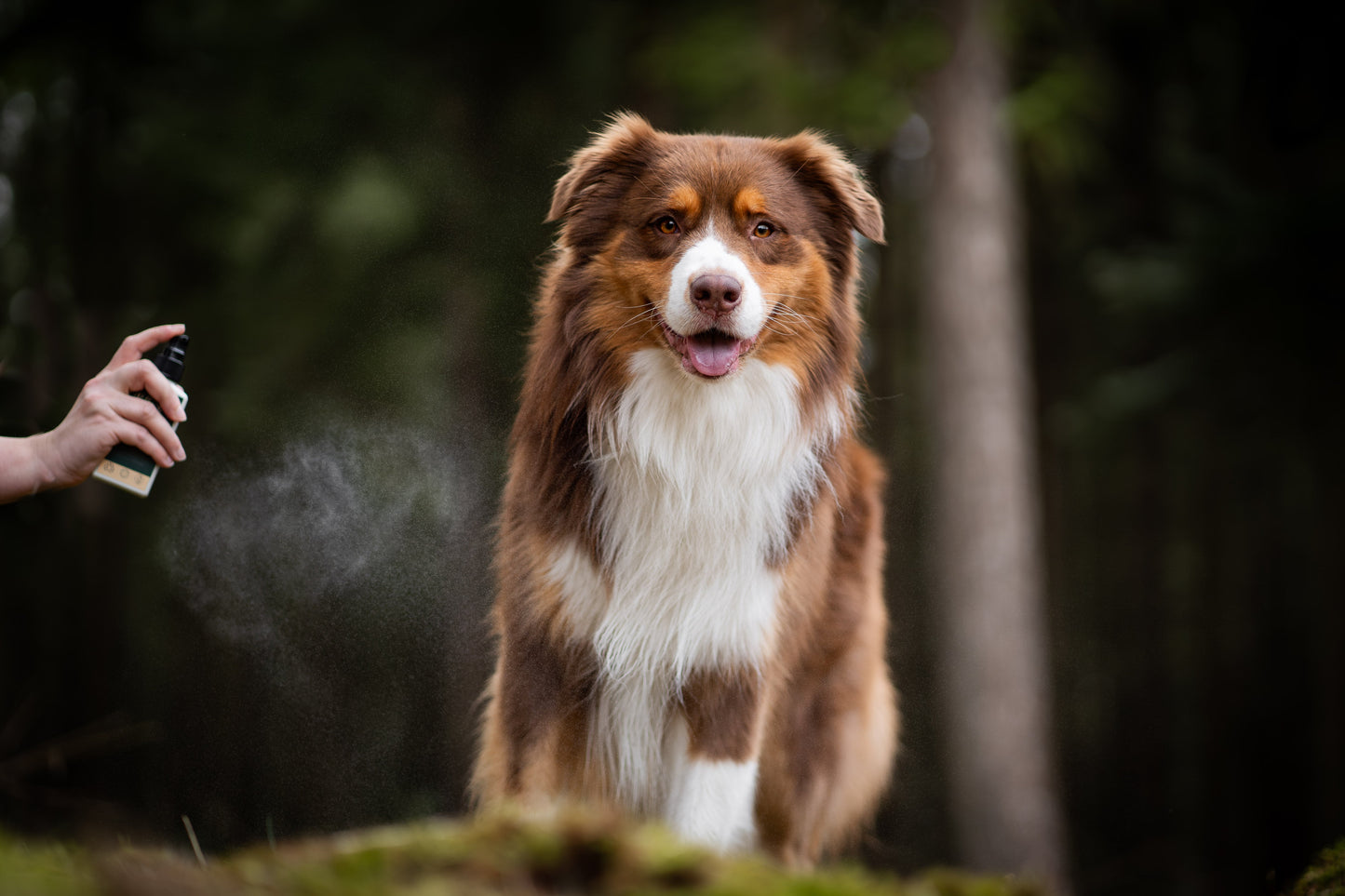 Spray para aventuras ao ar livre