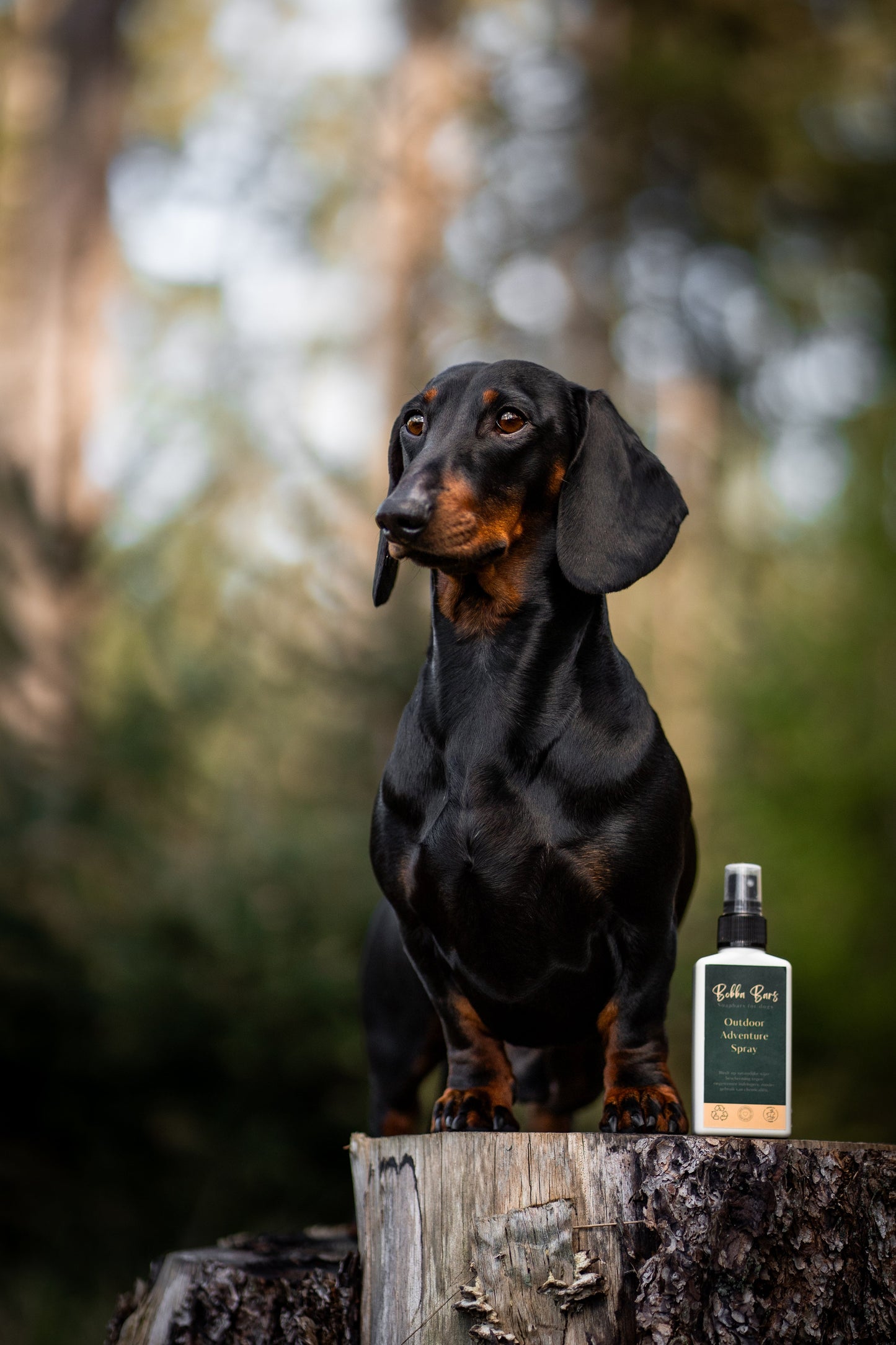 Spray para aventuras ao ar livre