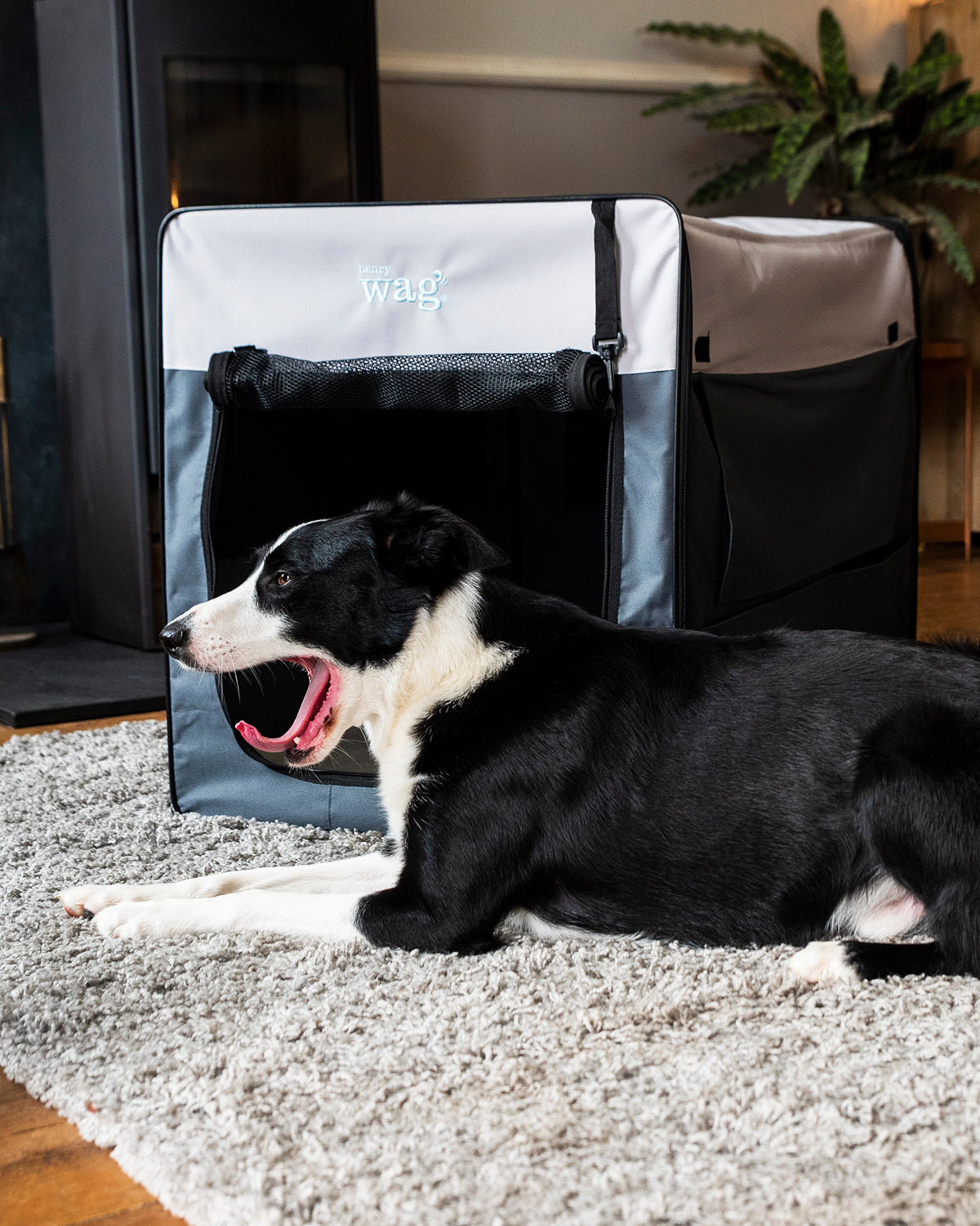 Opvouwbare Bench Hond - Reisbench: L - Henry Wag