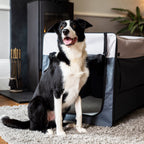 Opvouwbare Bench Hond - Reisbench: L - Henry Wag