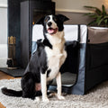 Opvouwbare Bench Hond (Henry Wag) - Reisbench XL