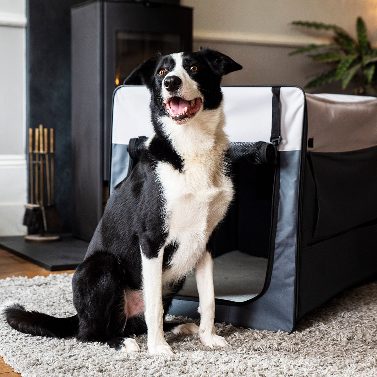 Opvouwbare Bench Hond (Henry Wag) - Reisbench XL
