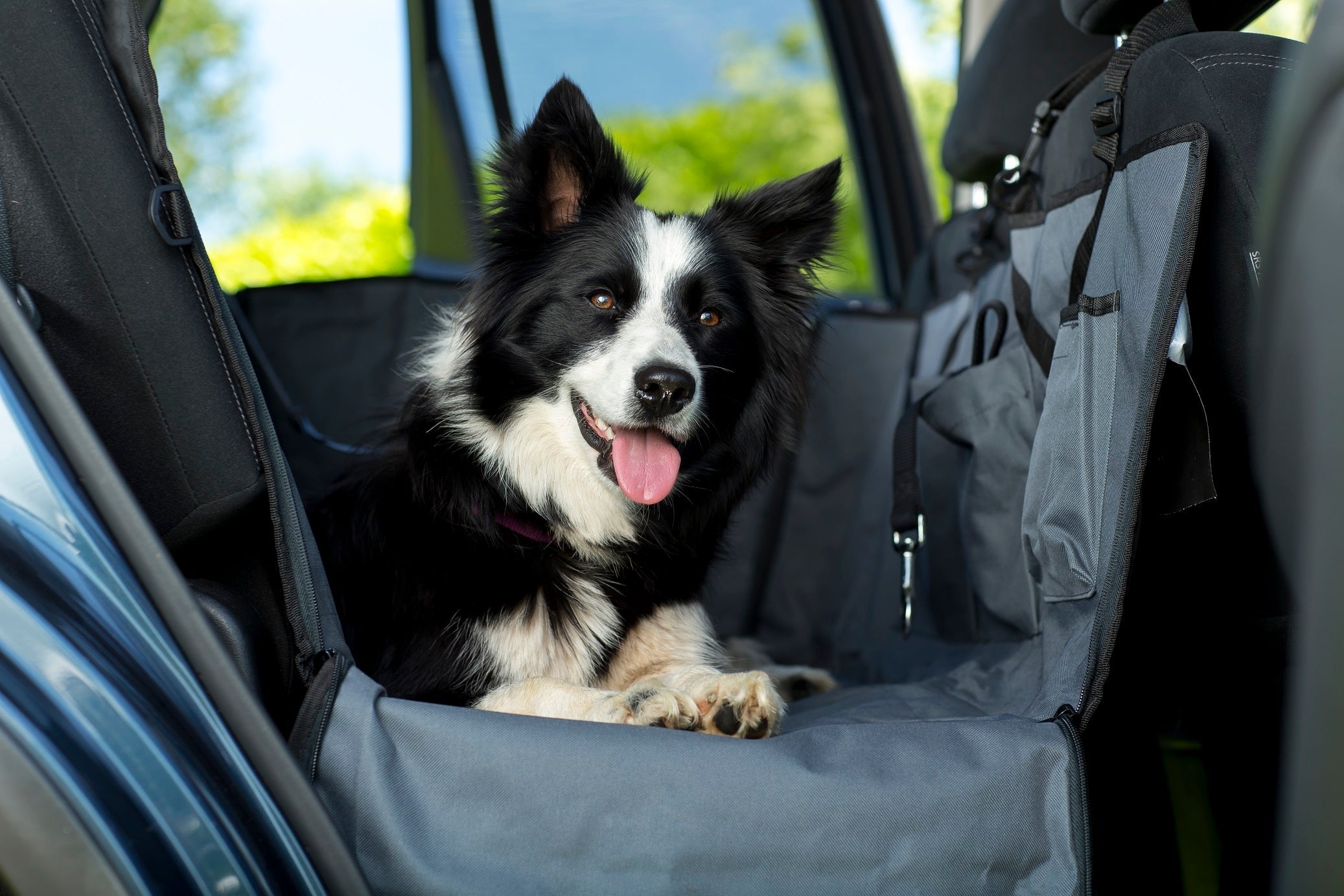 Auto Hangmat (Henry Wag) - Hondendeken