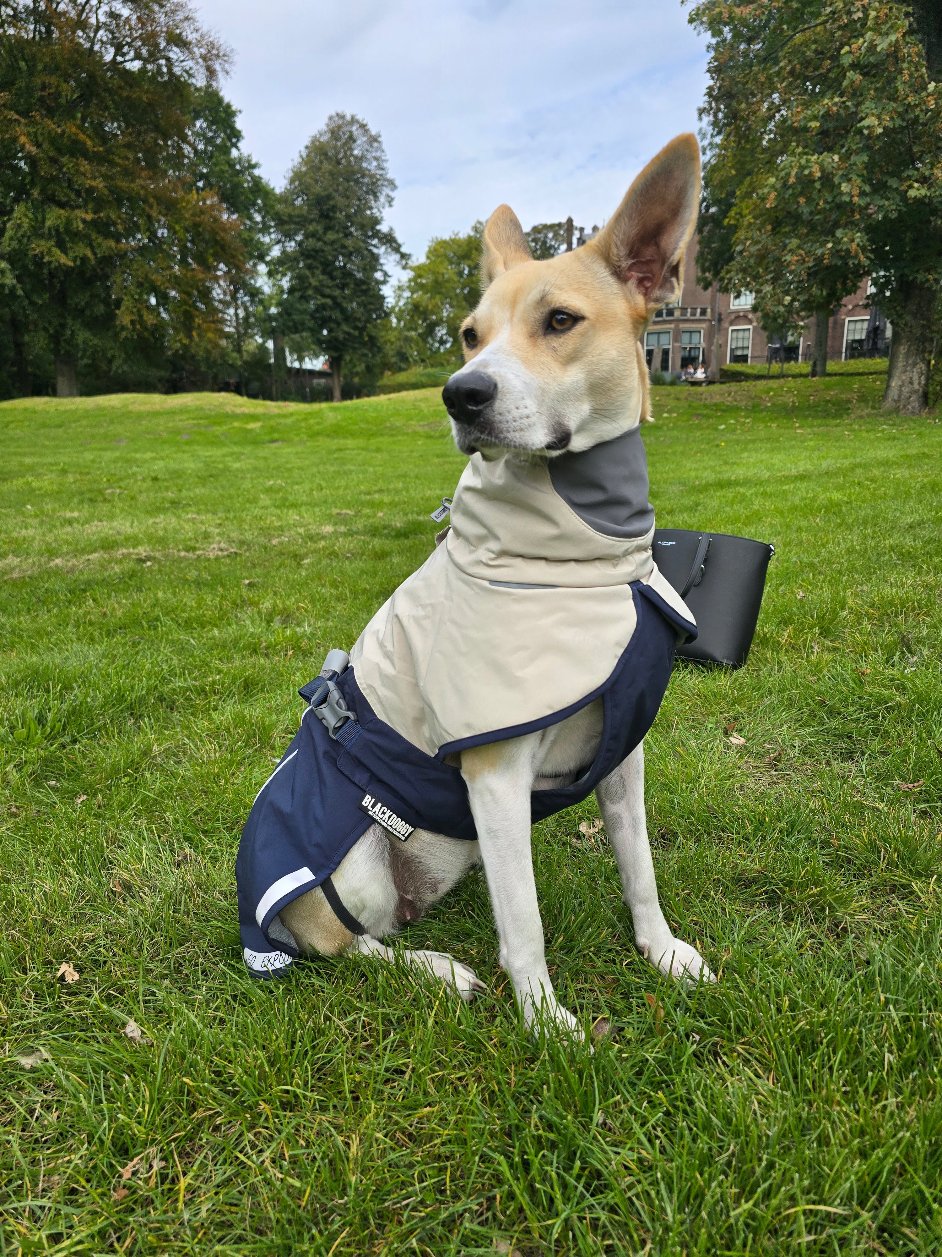 Hondenjas - waterdicht - lichtgewicht - maat L