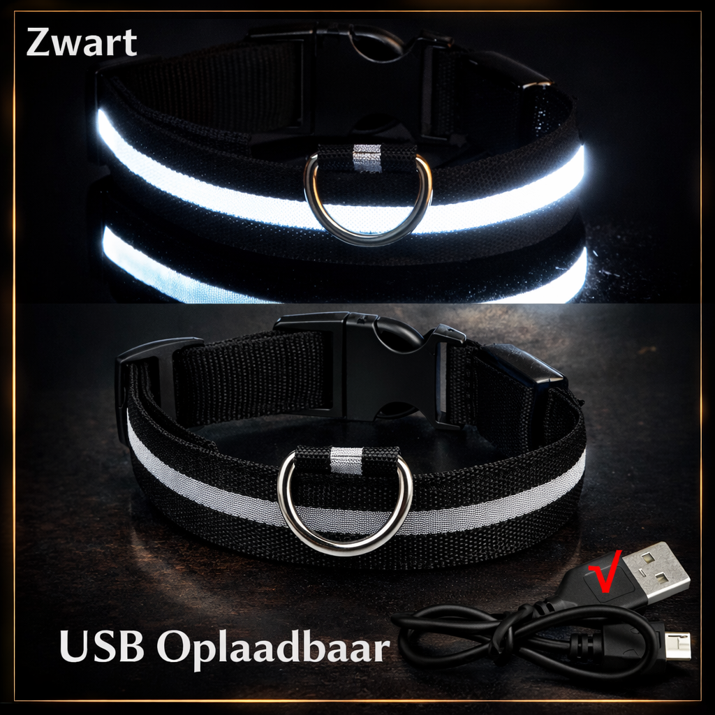 Halsband - lichtgevend