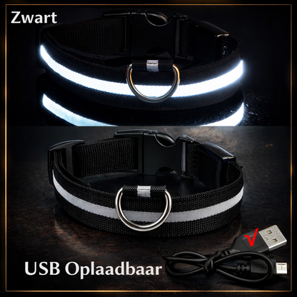 Halsband - lichtgevend