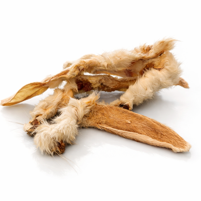 Orelhas de Coelho+: com pelo