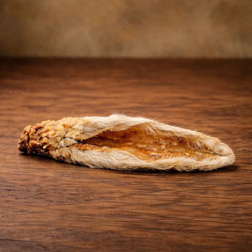 Orelhas de Coelho+: com pelo