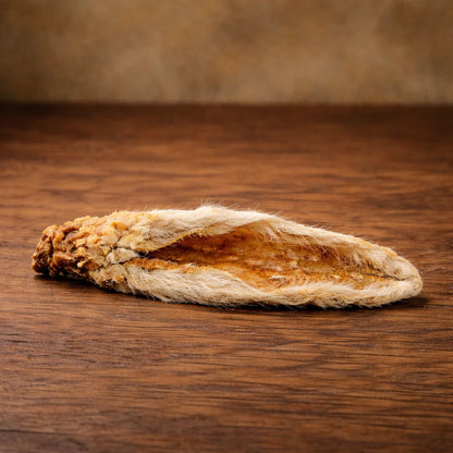 Orelhas de Coelho+: com pelo