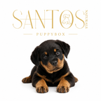 Caja de Snacks para Cachorros